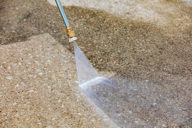 Best Animal Enclosure Cleaning  in Birdsboro, PA